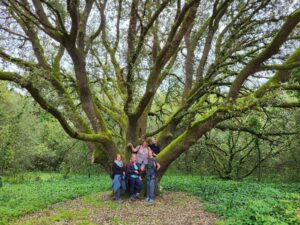 MaPauseDetox20230508 140910