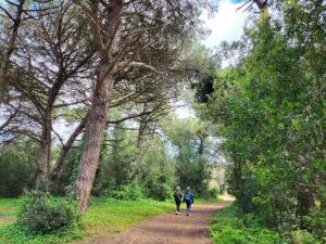 MaPauseDetox20240424 142022