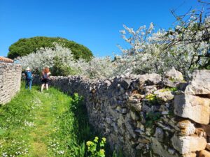 MaPauseDetox2025407 130043